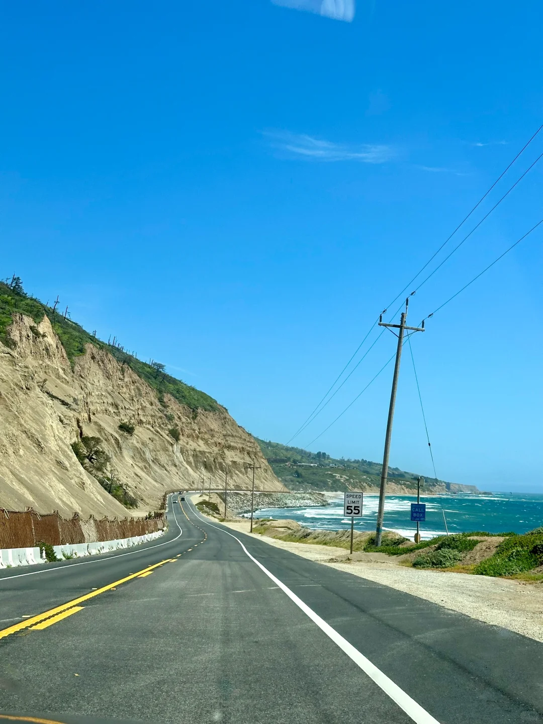 Top Spring Outing Spots Near UCD! 🌸