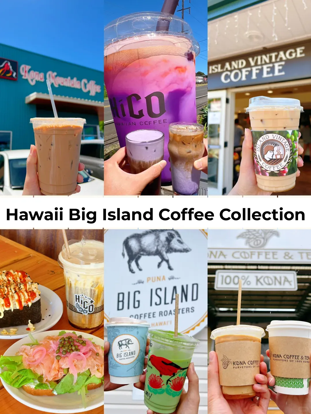🌺 Hawaii's Big Island Coffee Roundup
