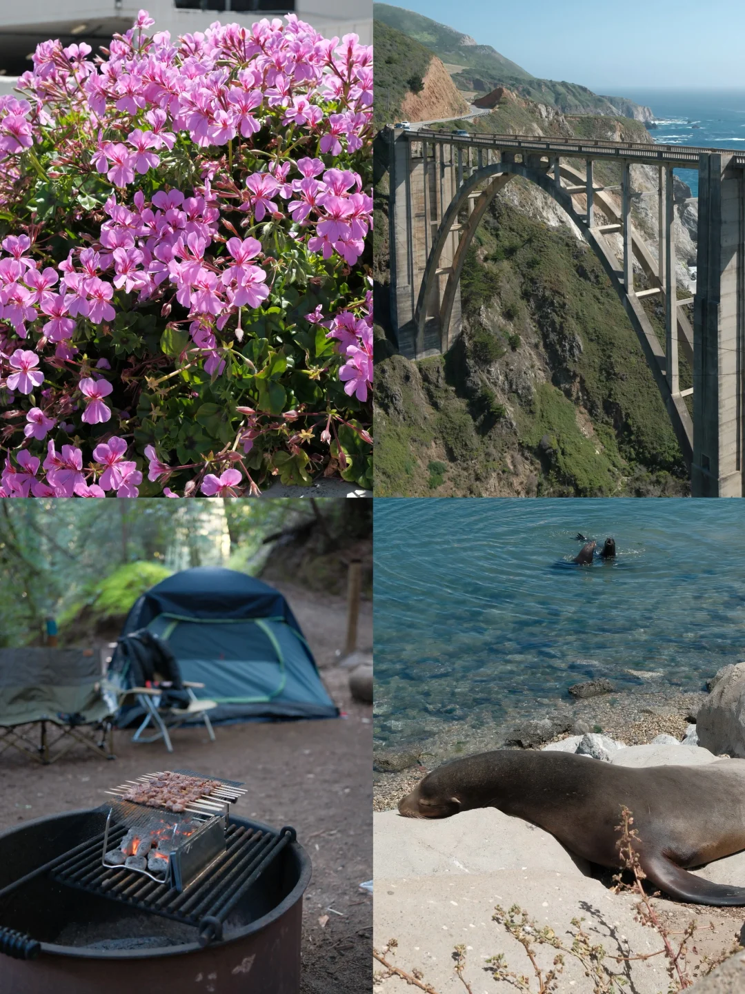Bay Area Weekend | The Ultimate Guide to Sleeping Soundly While Camping 🧭