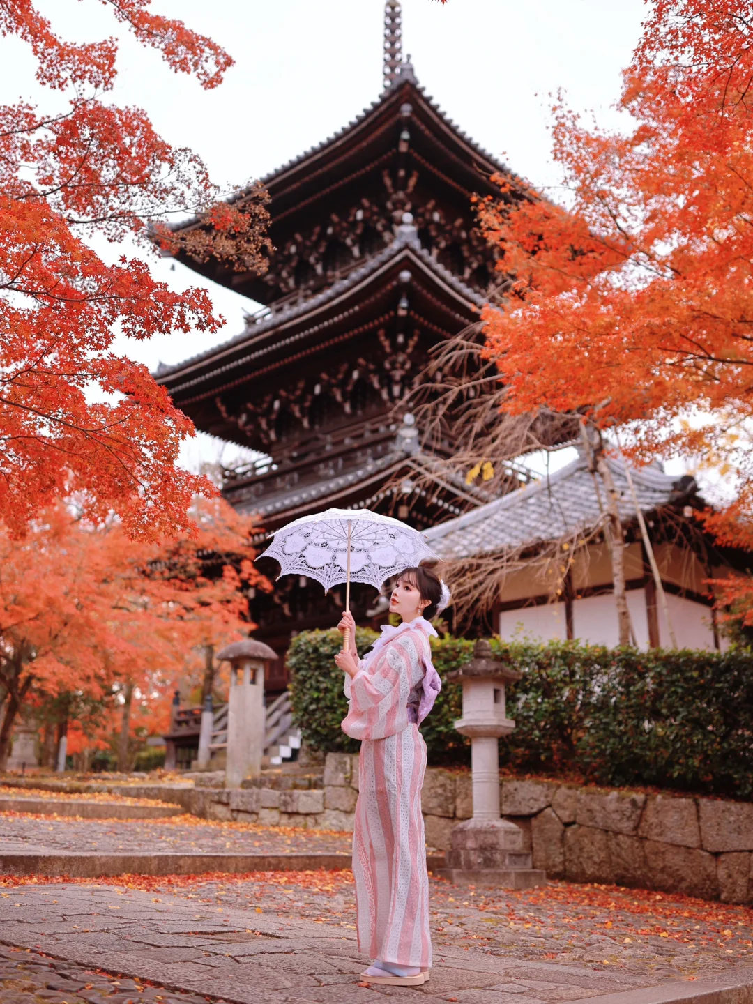 Kyoto's Autumn Masterpiece 🍁😭 Ultimate J-Style Maple Season Guide is Legendary!
