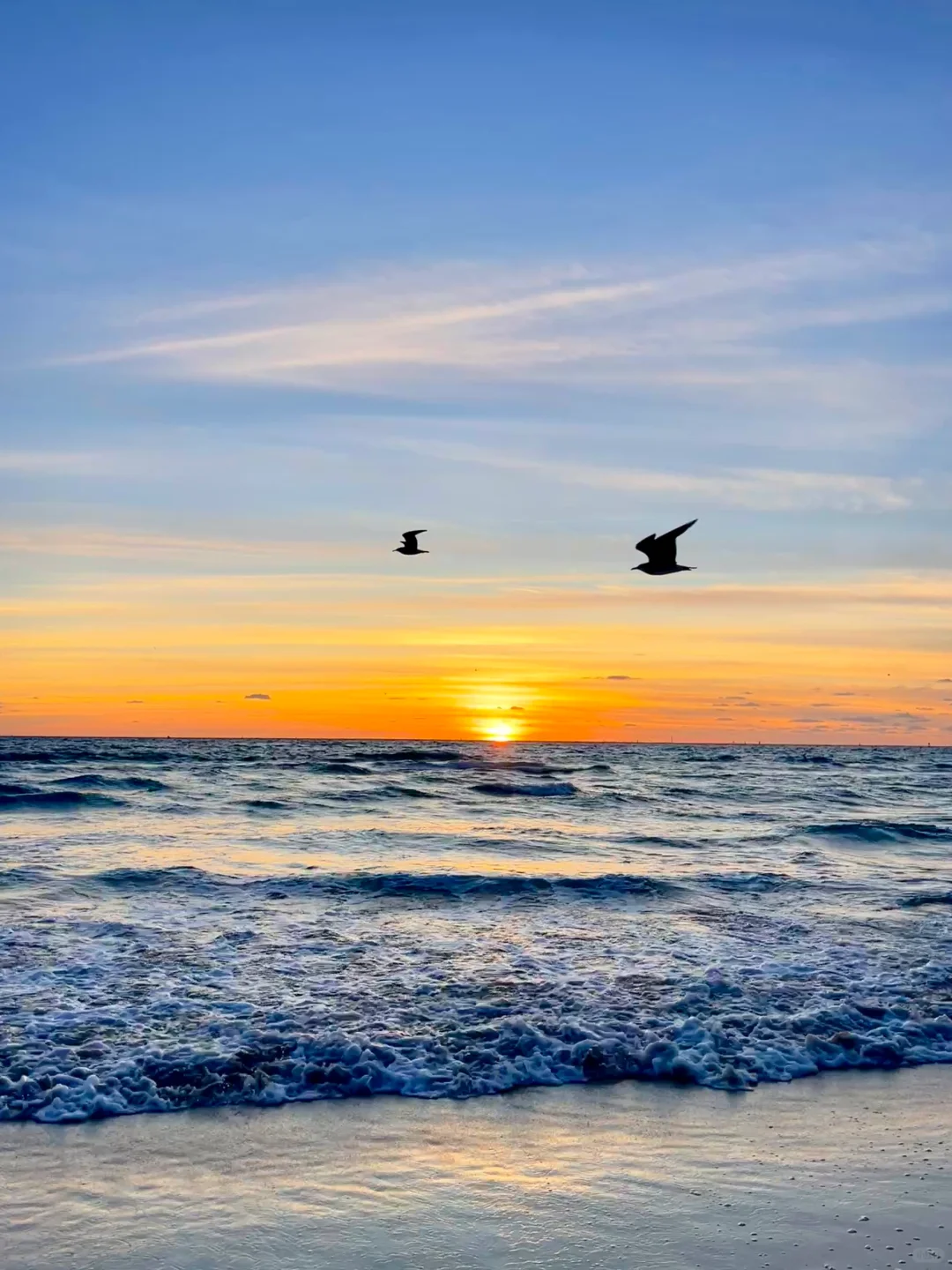 Miami Travel Guide Evaluation on Xiaohongshu (Personal Perspective)