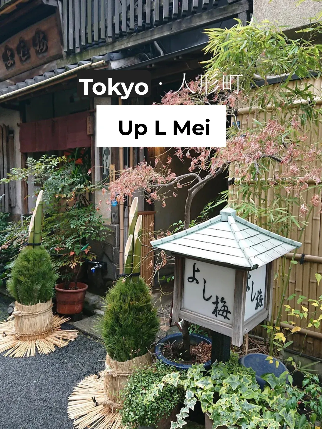 Tokyo's Ritualistic Charm | Savor Kaiseki in Tangible Cultural Properties