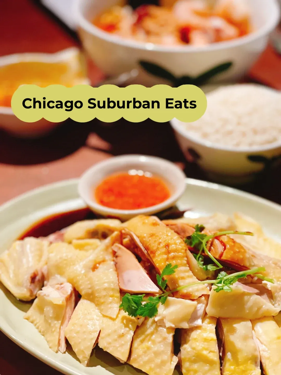 🍜 Hainanese Chicken Rice & Indian Roti Prata in the Chicago Suburbs 😍