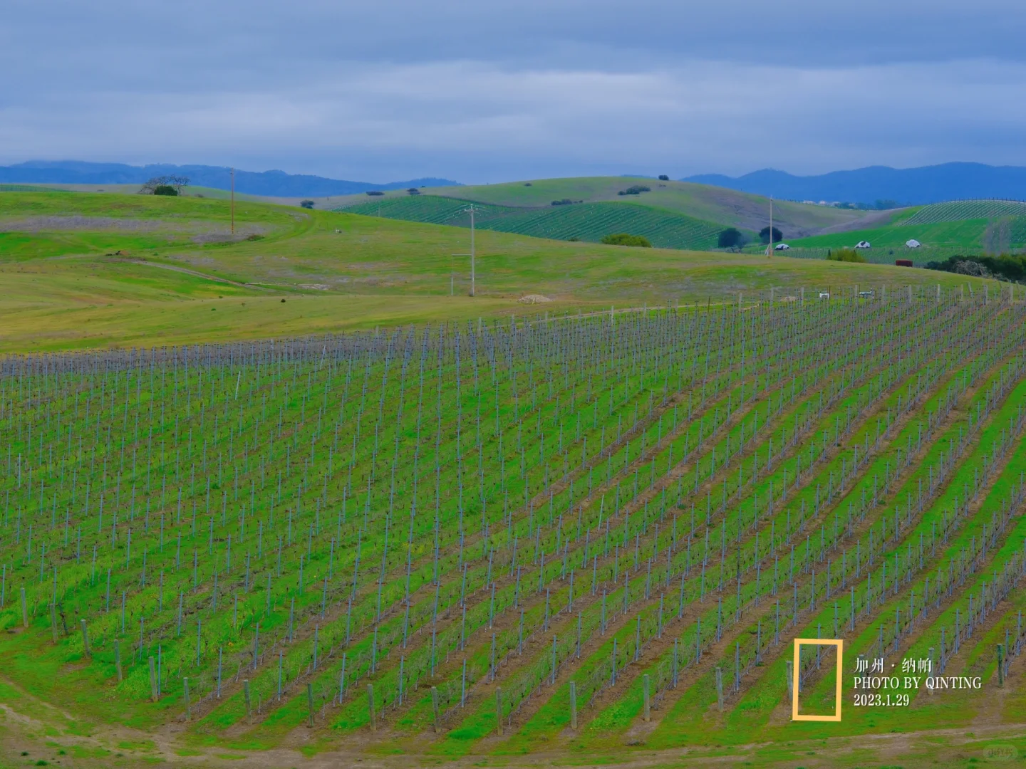 A Day Trip to Napa Valley