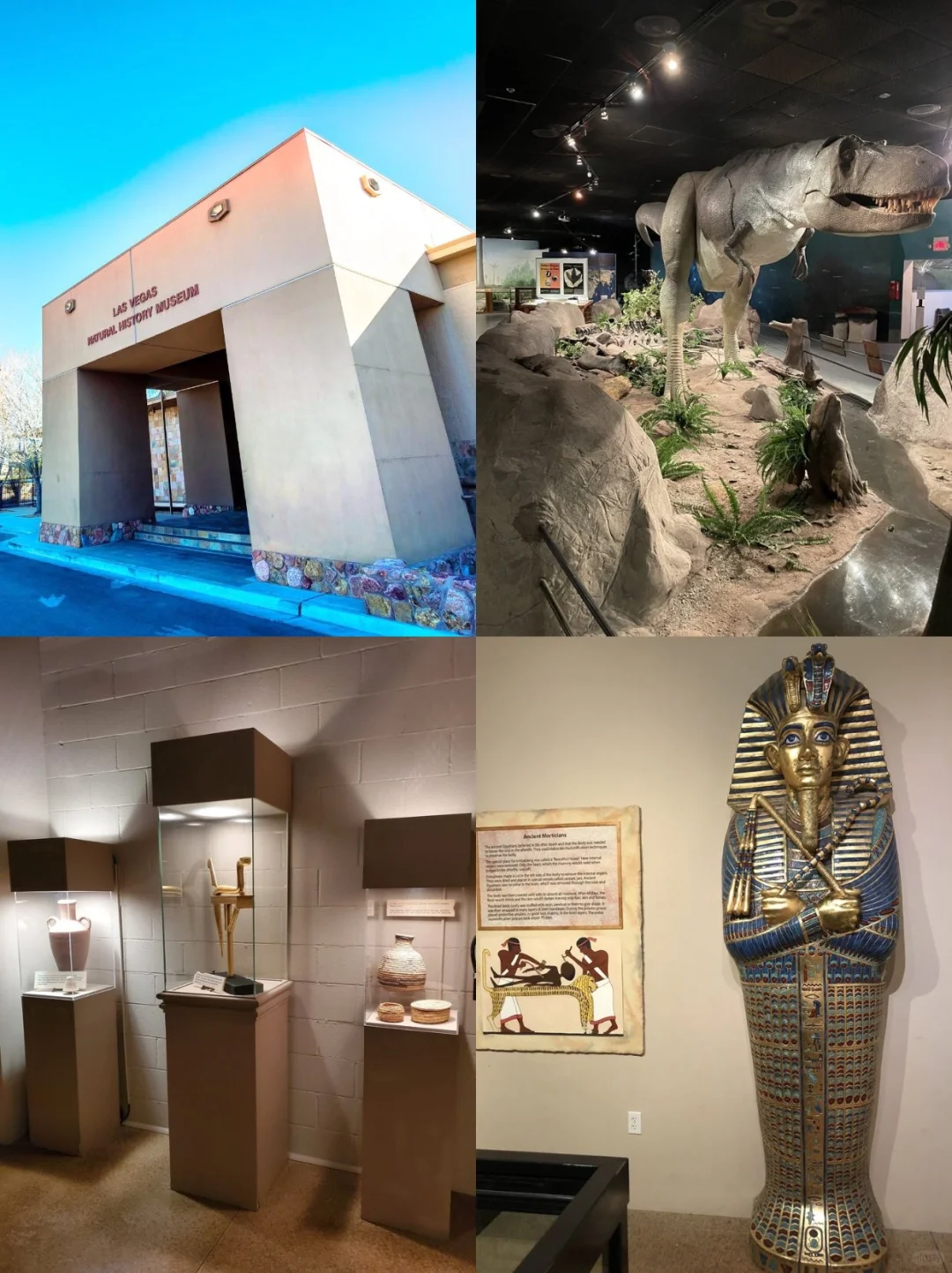 Las Vegas Summer ☀️ Top-Quality Kid-Friendly Spots 💯 Indoor Museum Guide
