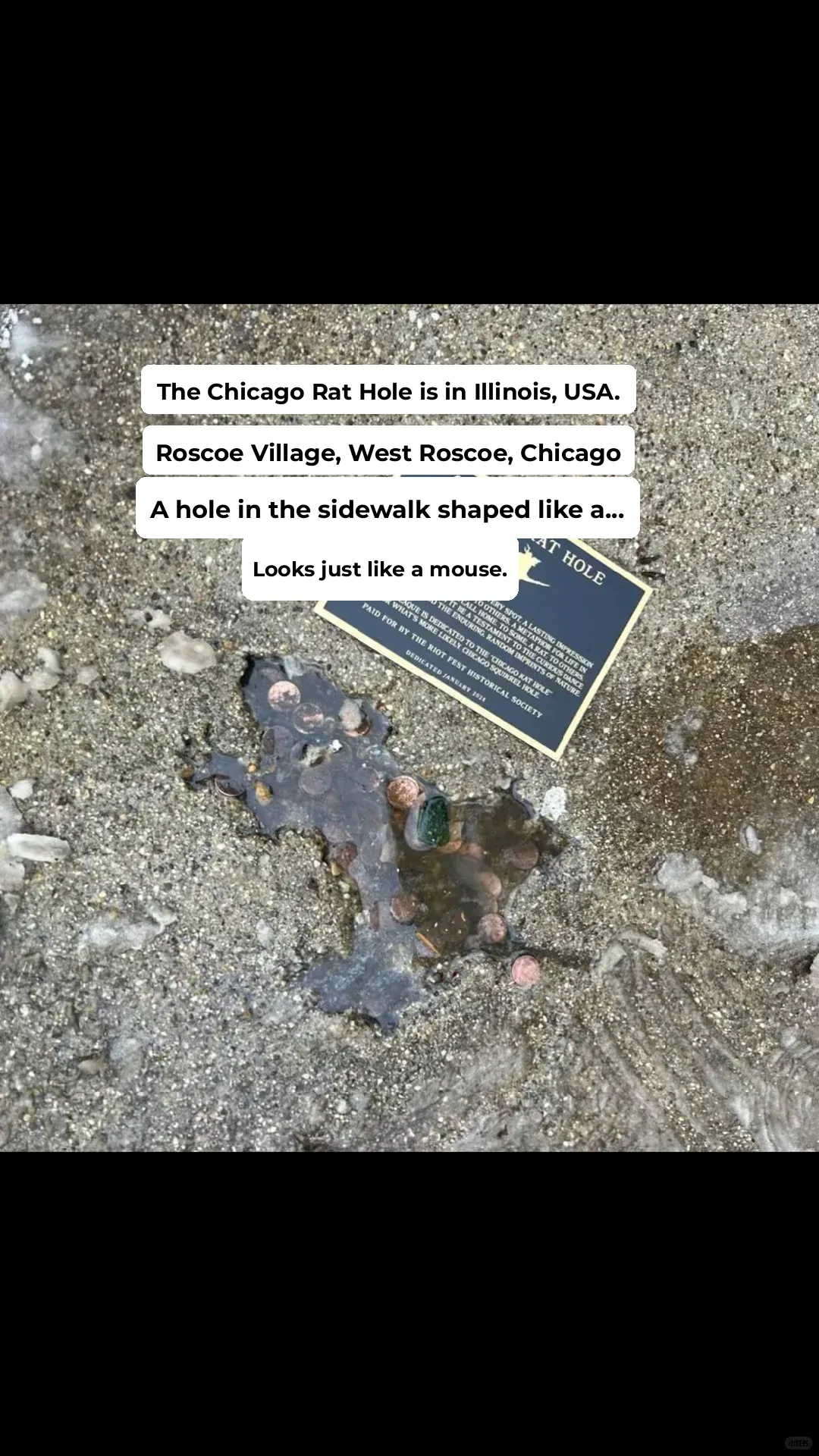 The Chicago Rat Hole: A Quirky Landmark in Roscoe Village, Illinois, USA