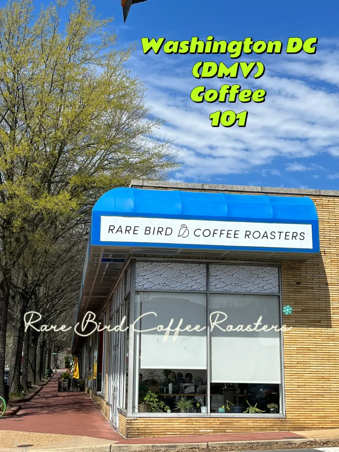 Must-Visit Boutique Coffee in Washington DC: Rare Bird – Roastery & Café in One