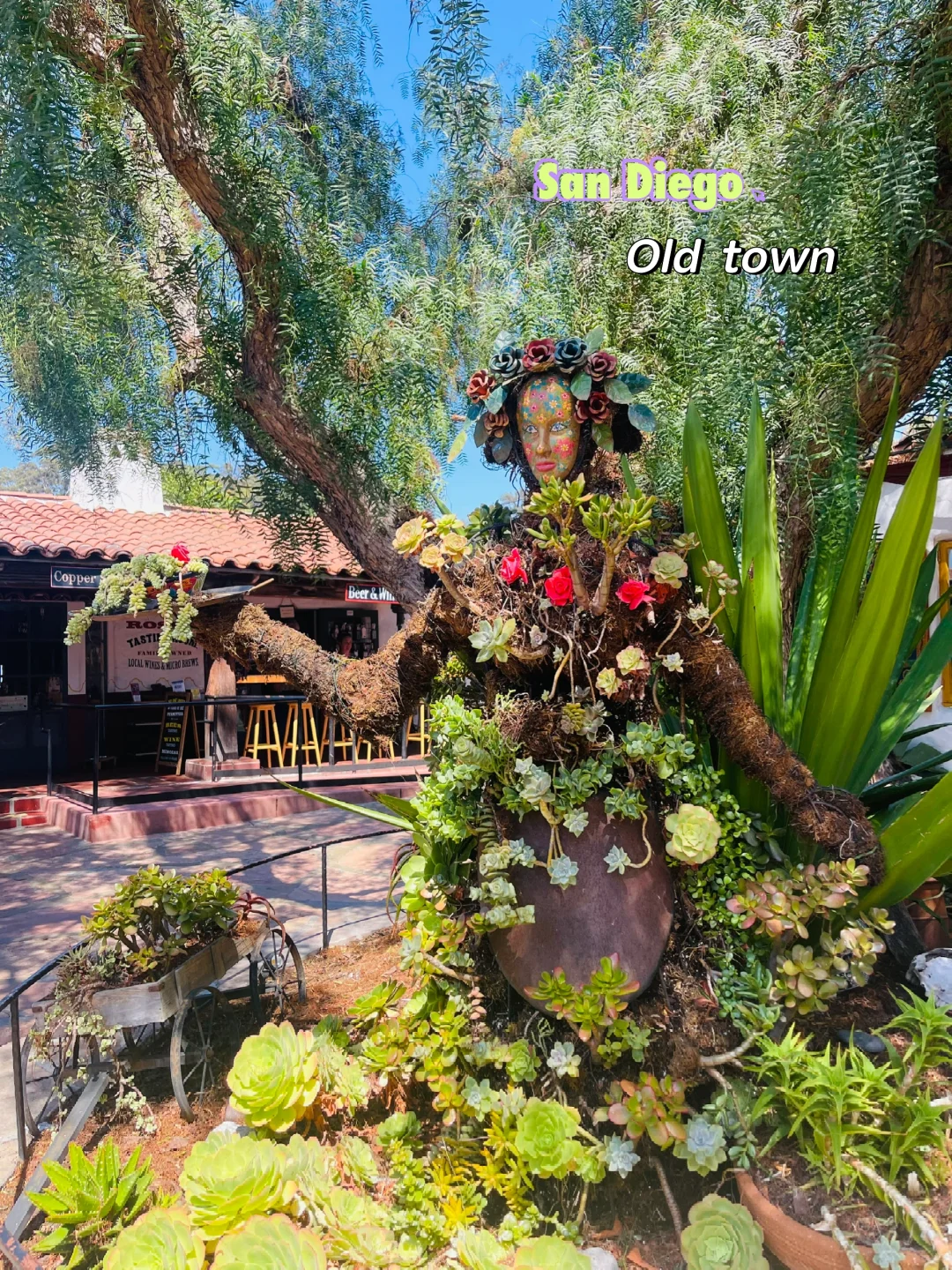 🌵Must-Visit Old Town San Diego Guide + Parking Tips