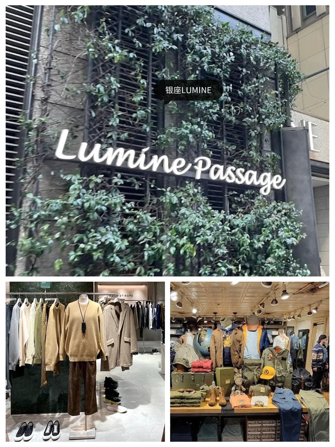 Tokyo Ginza丨A Comprehensive Guide to Brand Flagship Stores in Large Shopping Malls 🕋