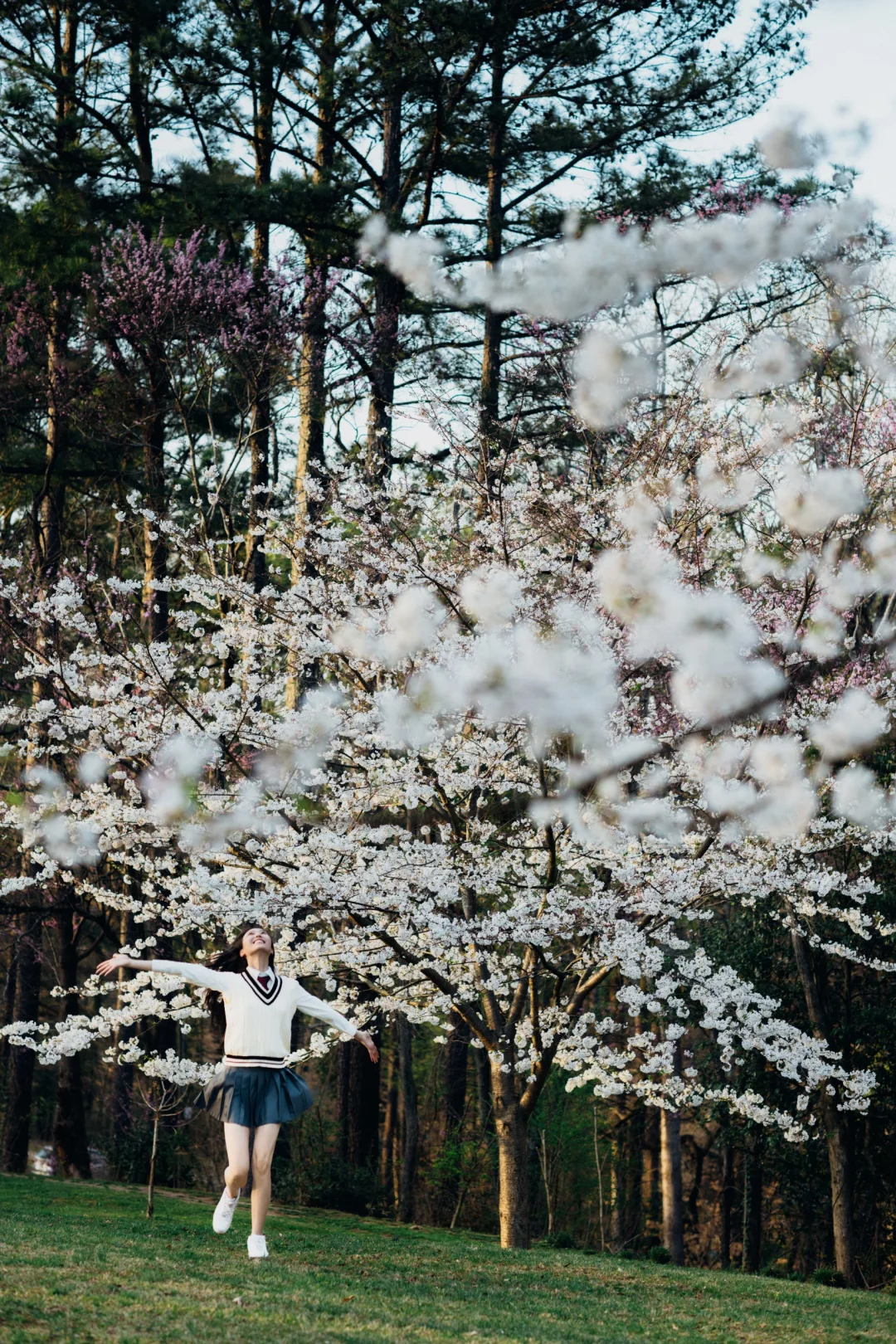 Come Capture the Cherry Blossoms! | Atlanta's Sakura Season