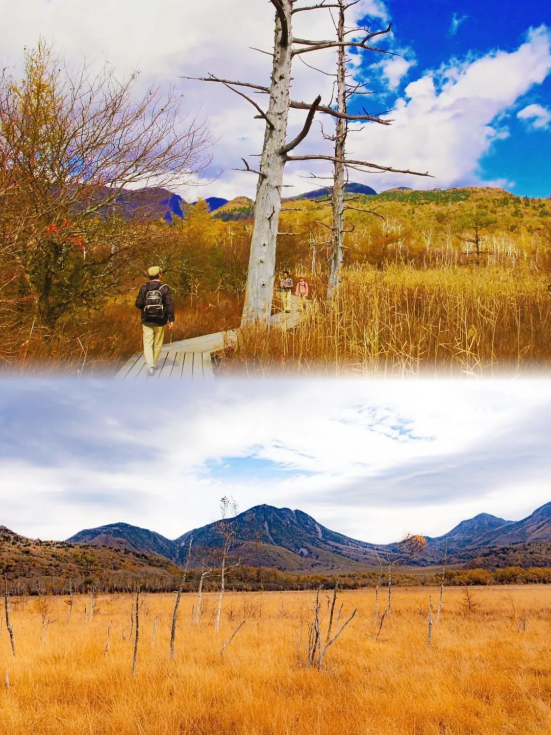 【Event Announcement】October 19-20, 2024: Daylight and Shirane Mountain Expedition with 100 Peaks