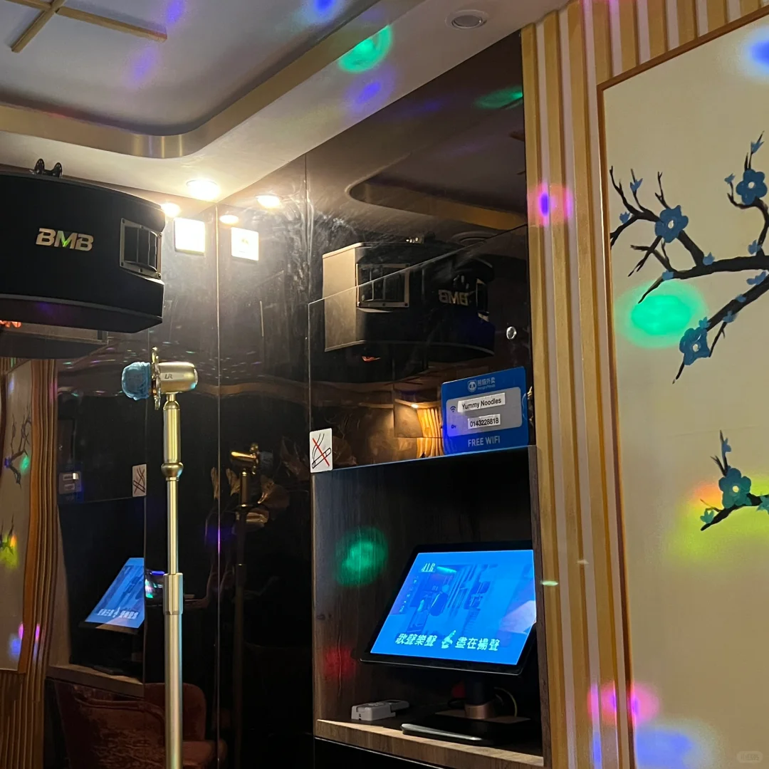 🇫🇷 Paris Eats | The Most Lavishly Decorated 🇨🇳 KTV Restaurant in Paris
