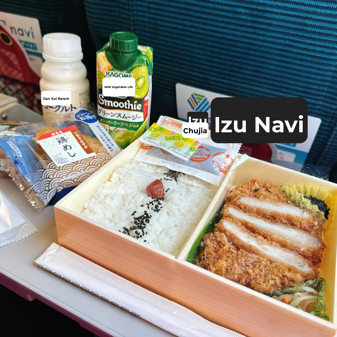 Tokyo-Izu Special Forces Style Travel 🪖 Hope This Helps Your Independent Journey!