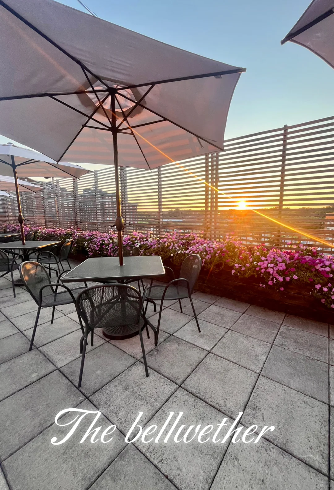 The Bellwether Creative Dining in St. Louis