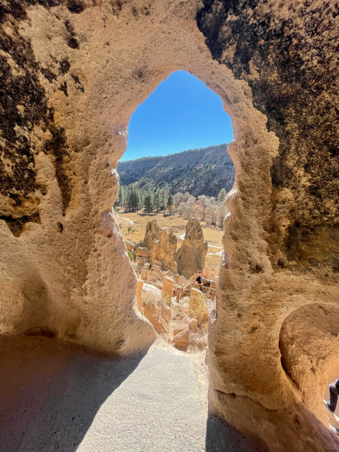 New Mexico Thanksgiving Trip Part 2 (Nature Edition)