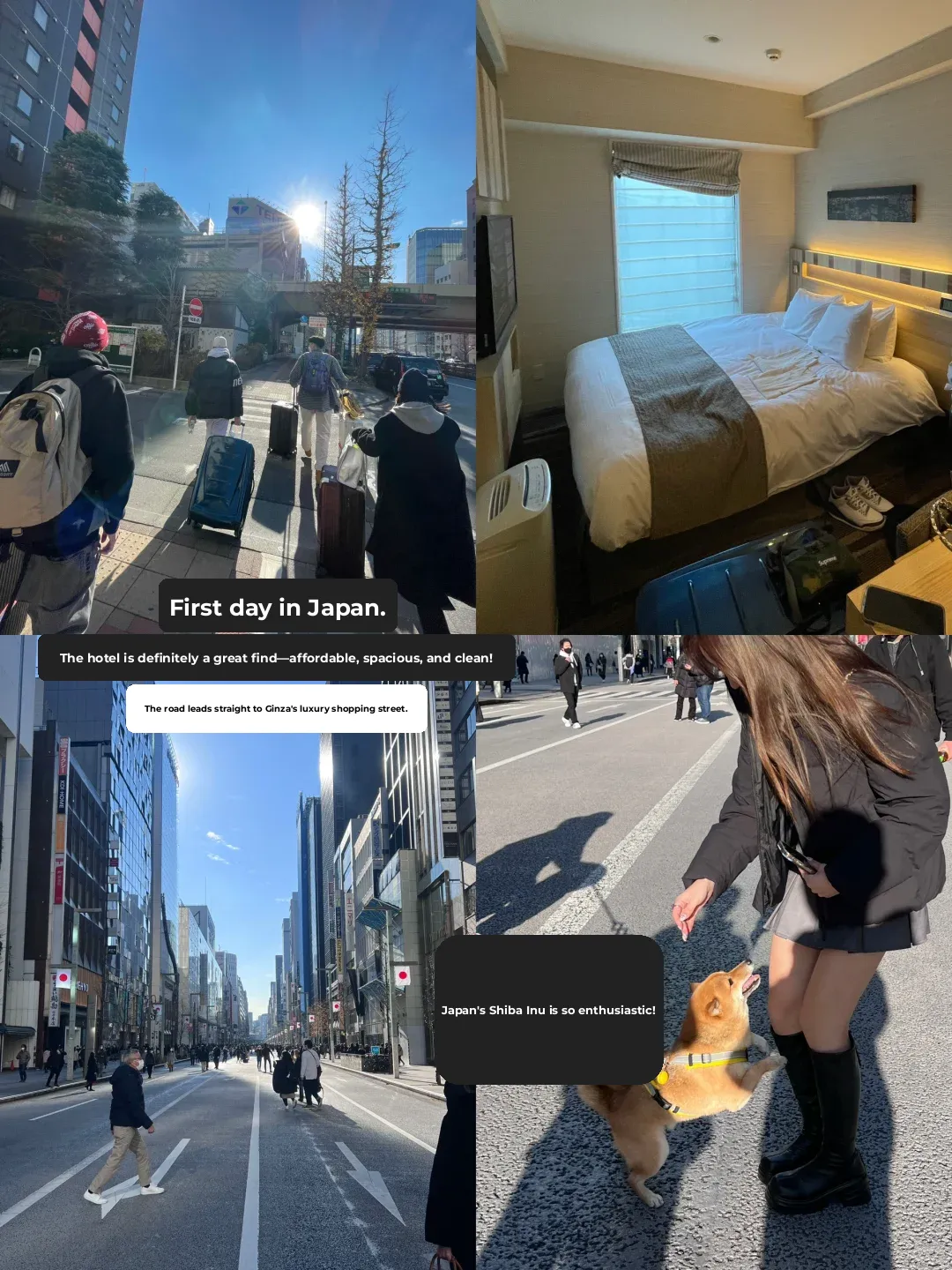 7 Days and 6 Nights in Tokyo: A Free & Easy Itinerary | Attractions + Travel Guide