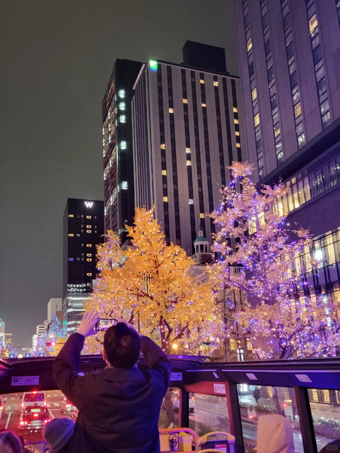 🇯🇵 Hop on an Open-Top Bus for a Stunning Osaka Christmas Night View