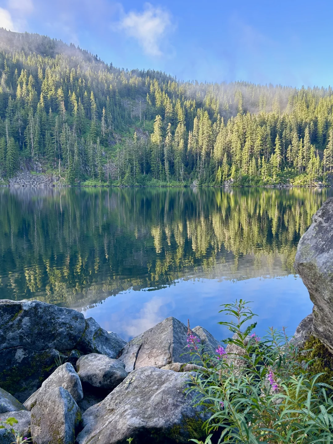 Poetic Solitude in Seattle: A Refreshing Solo Adventure by the Sea and Lakes