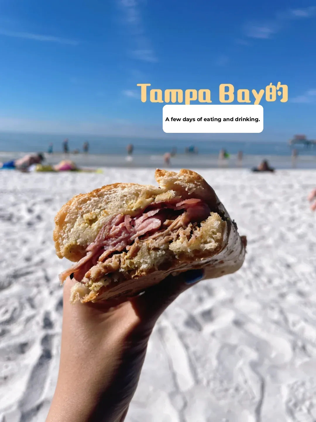 "Tampa Bay: A Food and Drink Paradise You'll Never Want to Leave"