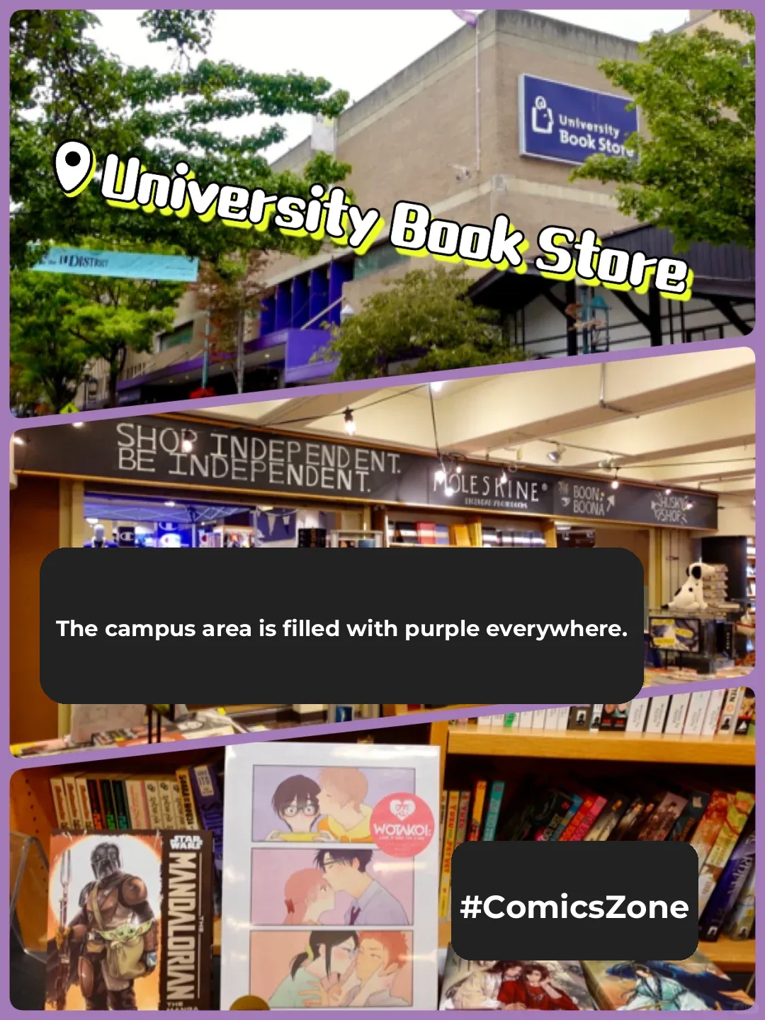 Solo Travel Diaries: Exploring DC's Campus Neighborhoods