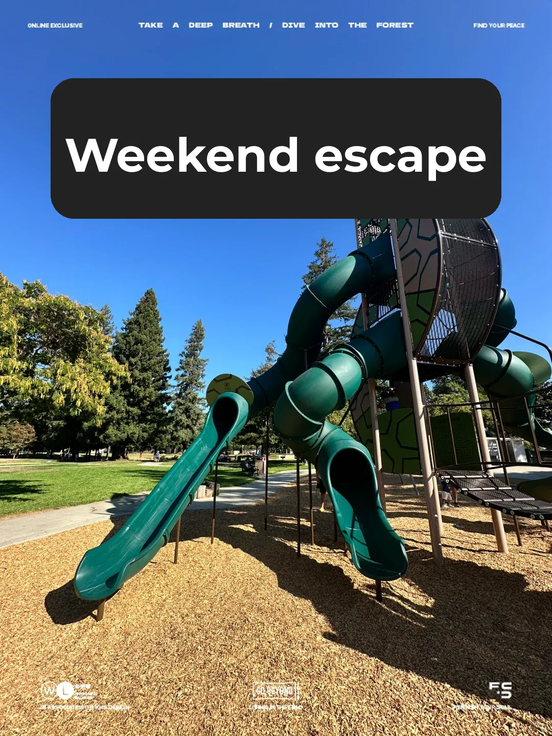 Bay Area Family Fun: Must-Visit Murdock Park in Cupertino