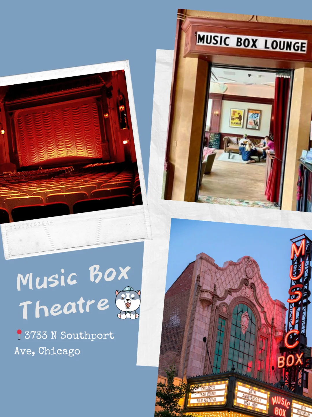 What Do Chicagoans Do on Saturdays?