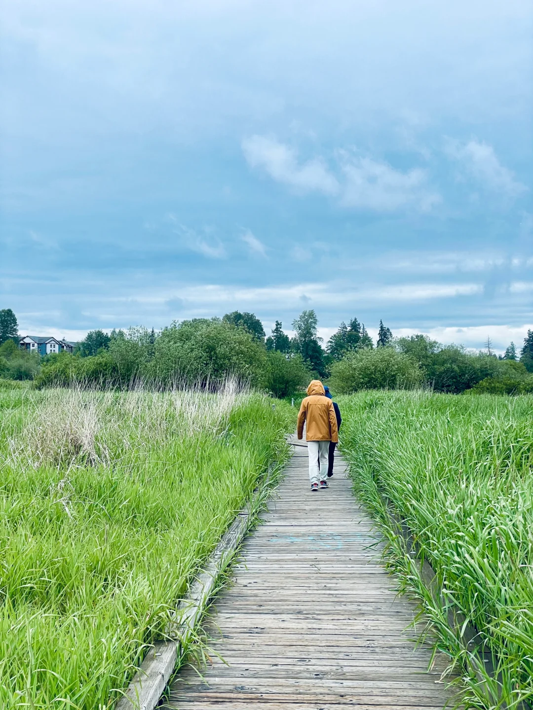Seattle | Hidden Gem 💎 Wetland Park