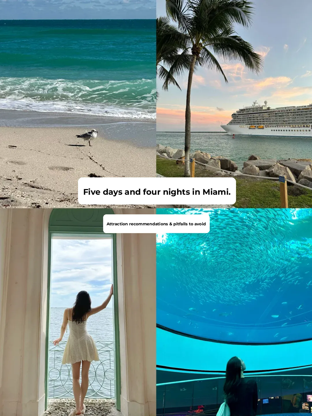 Winter Escape to the Sunshine State 🇺🇸: 5 Days & 4 Nights in Miami | Attractions Guide