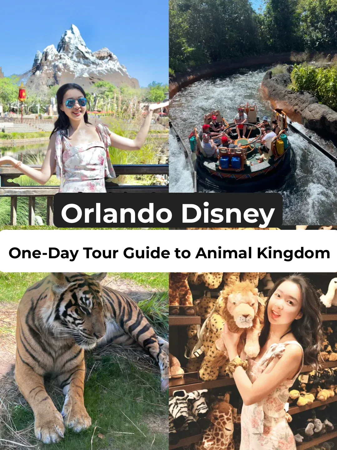 Orlando Disney's Animal Kingdom One-Day Trip Money-Saving Guide