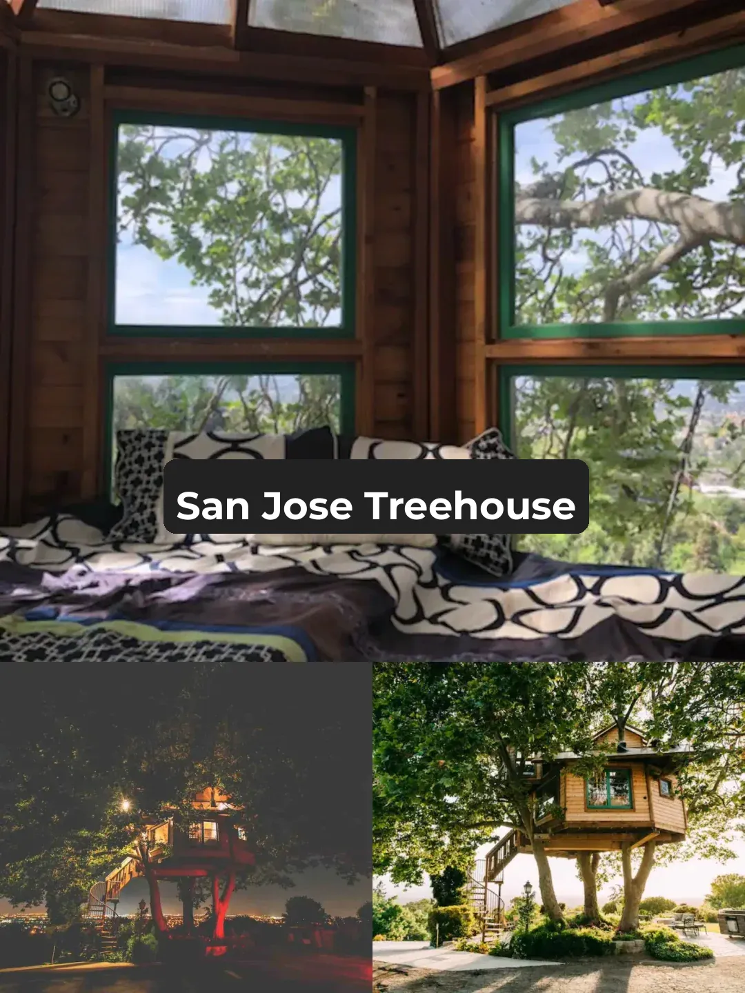 🌲 Staying in the Trees! A Fresh New Way to Beat the Heat!