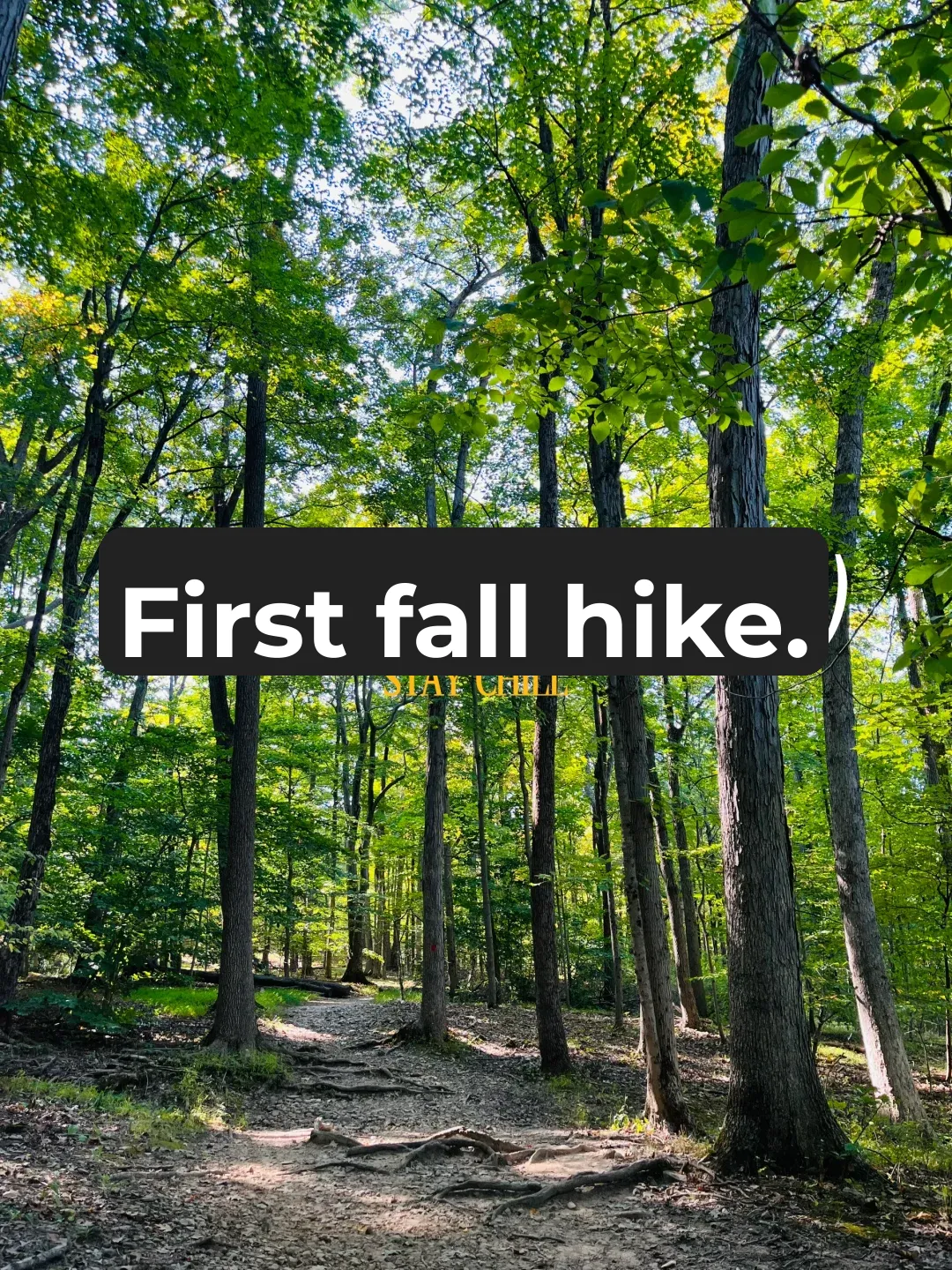 New Jersey Light Hiking | Super Popular 🔥 Mountain Biking Trail 🚵