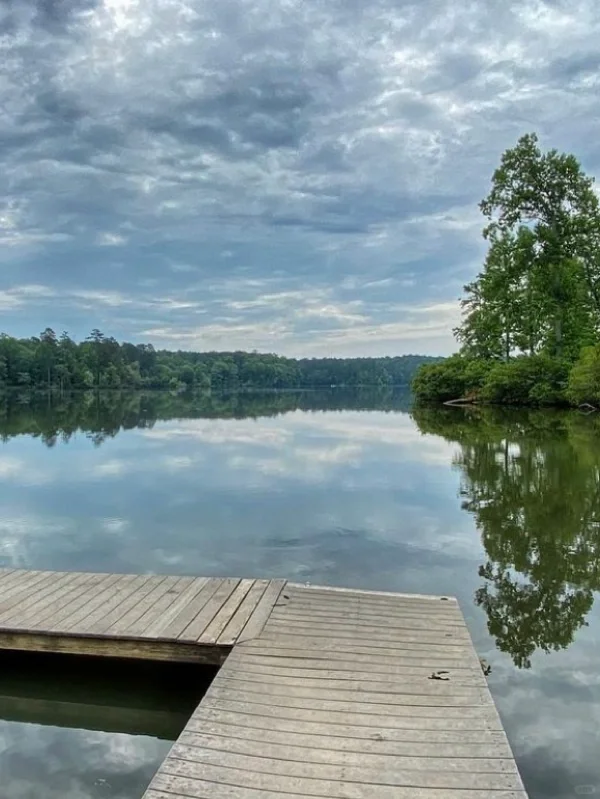 Best Spots for Stargazing Around Atlanta