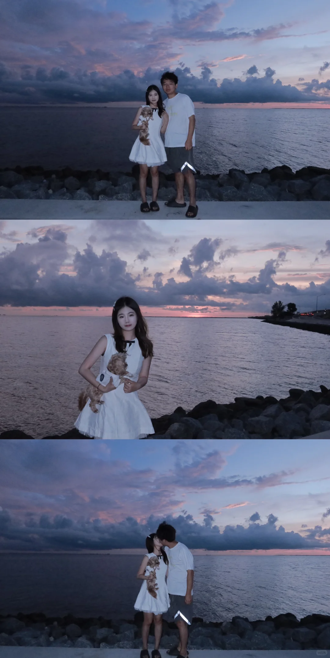 🇺🇸 Tampa | Chasing Sunset Dolphins in Tampa 🐬🫧