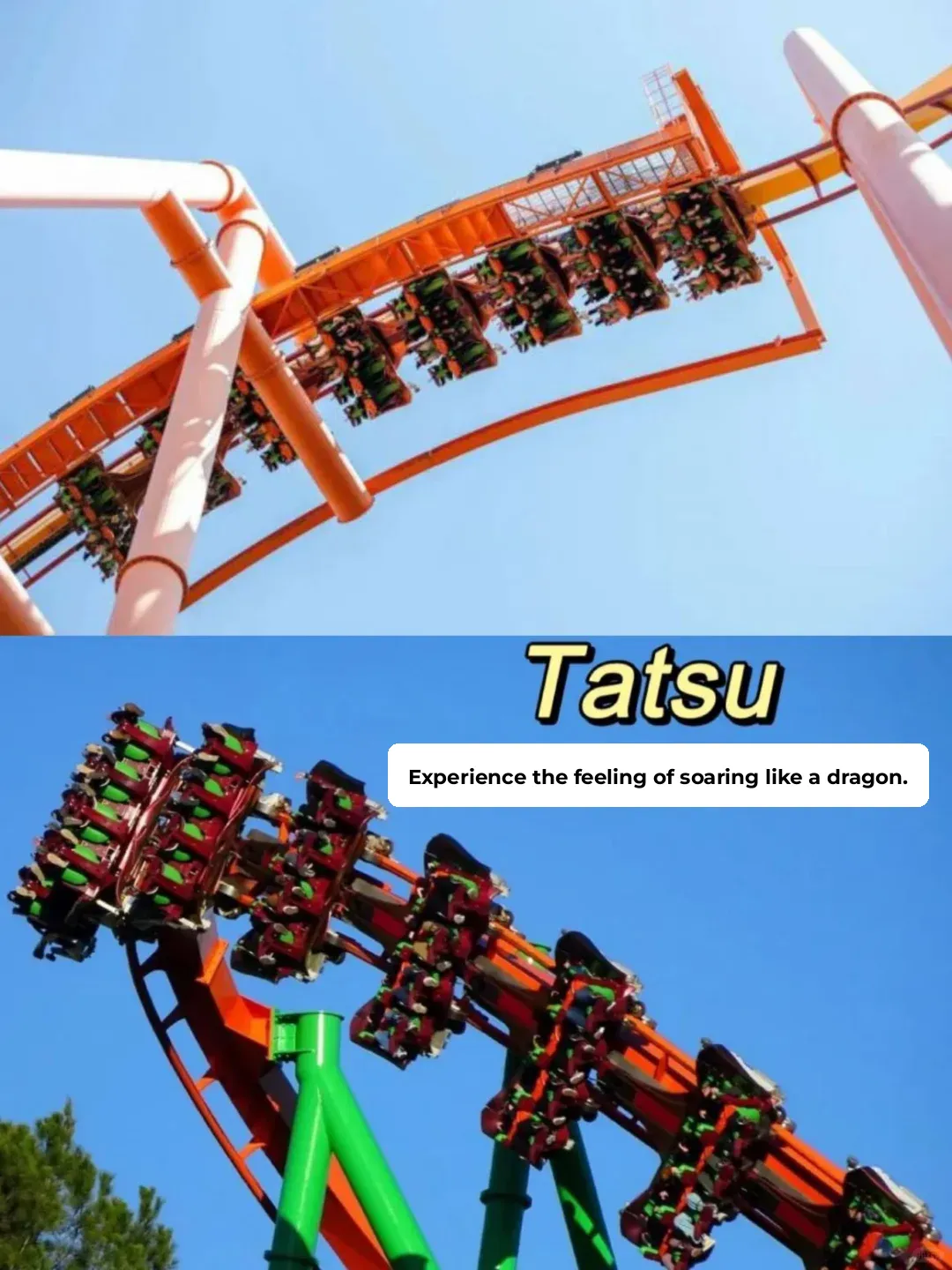 Six Flags is a paradise for roller coaster enthusiasts! A comprehensive project overview!