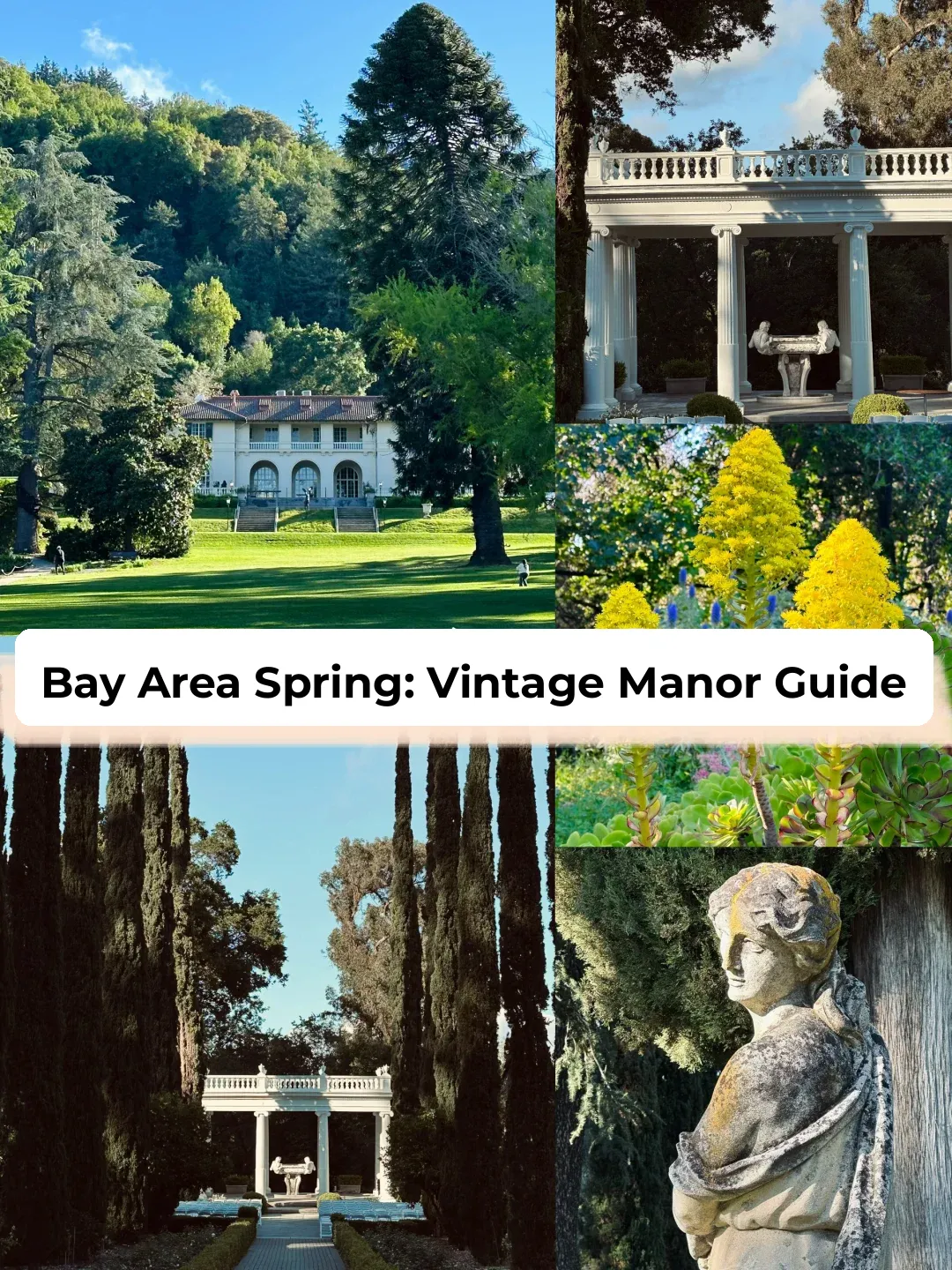 Healing Vibes! Hidden Gem in the Bay Area: A Guide to the Charming Retro Manor and Blooming Gardens