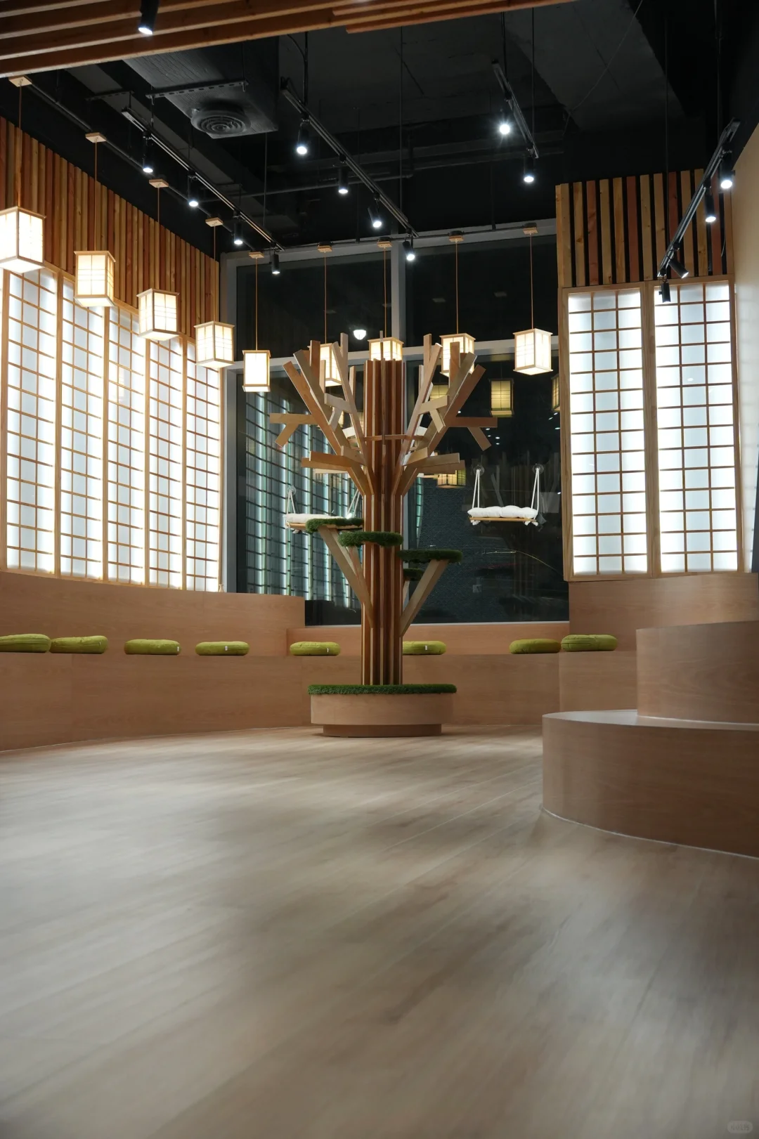 The First Cat Café in Queens, New York!