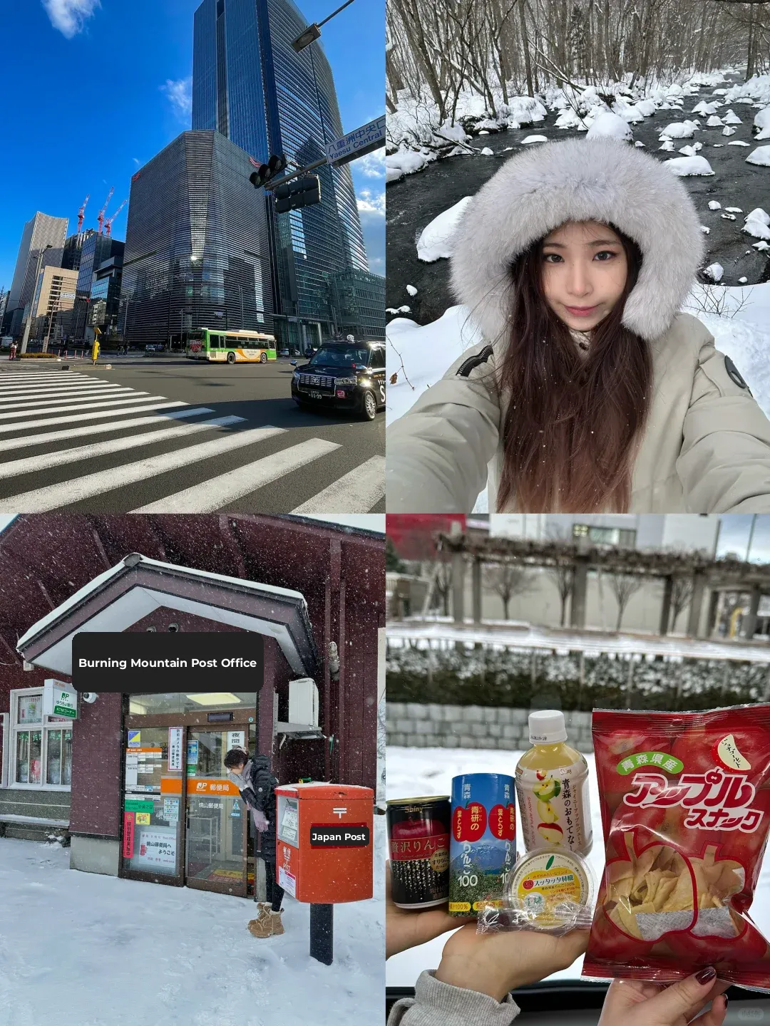 🇯🇵 Japan Winter Wonderland ❄️ Adventure (7 Days, 6 Nights with the Ultimate Travel Guide!)