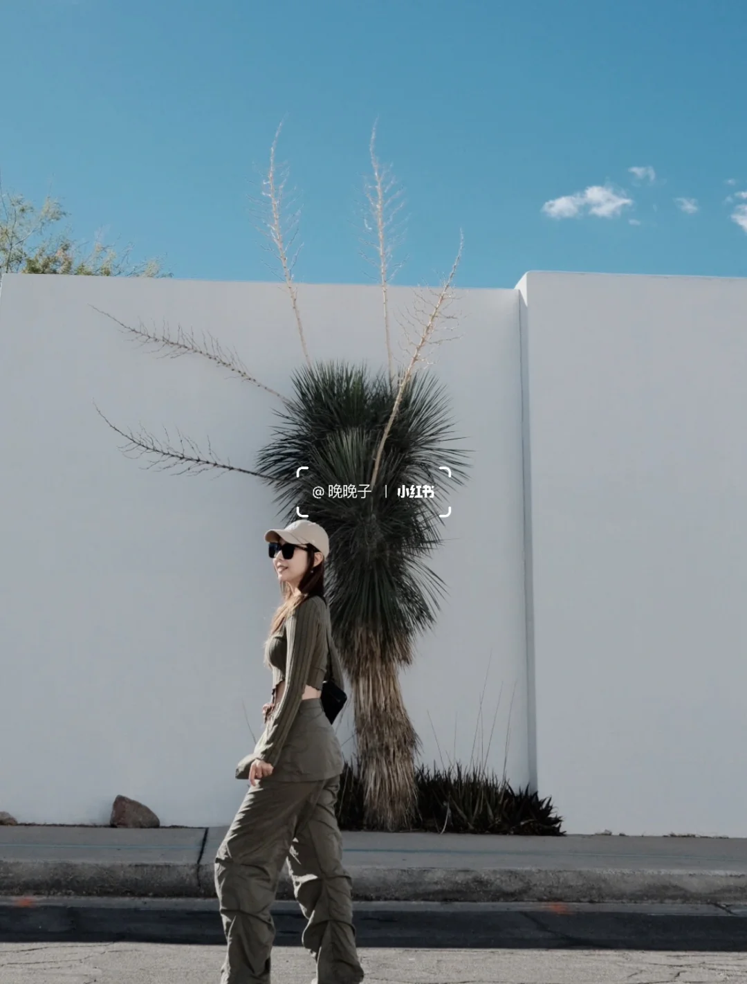 Arizona | Tucson: Foodie Recommendations in the Desert Oasis 🌵