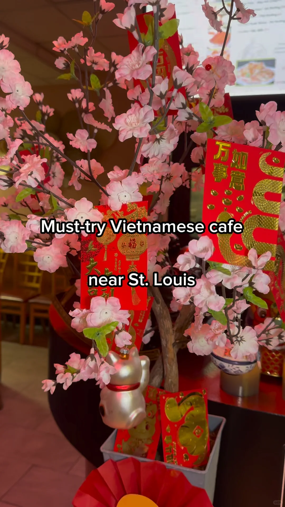 Must-Try Vietnamese Café in St. Louis, Missouri, USA