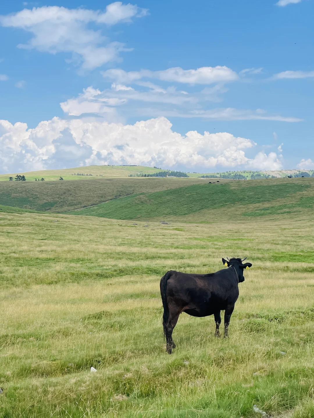 Tokyo’s Altay | Day Trip to Mihoro & Kirigamine