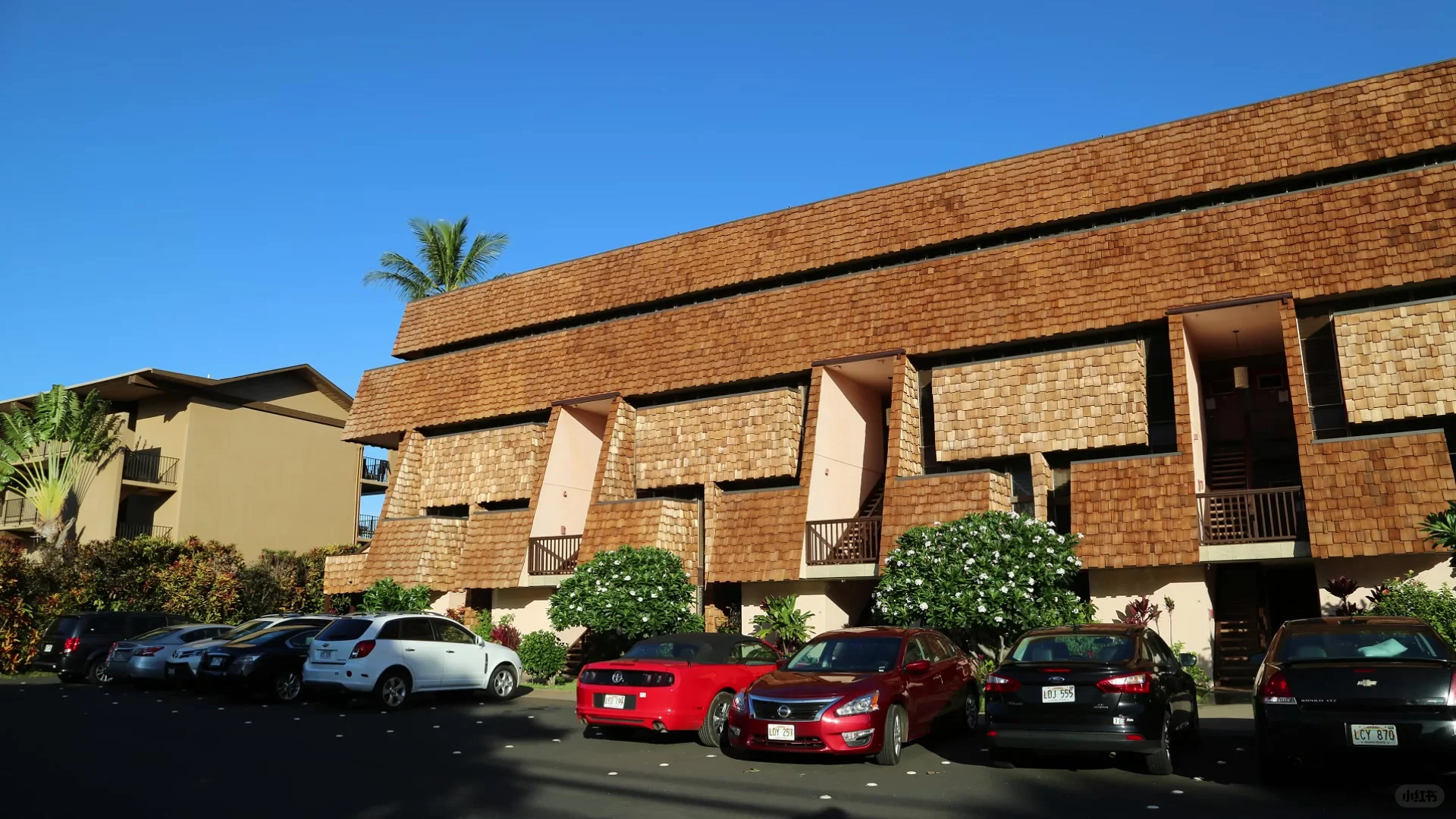 Enchanted by Hawaii—A Homestay Where You Can Spot Sea Turtles Gliding By