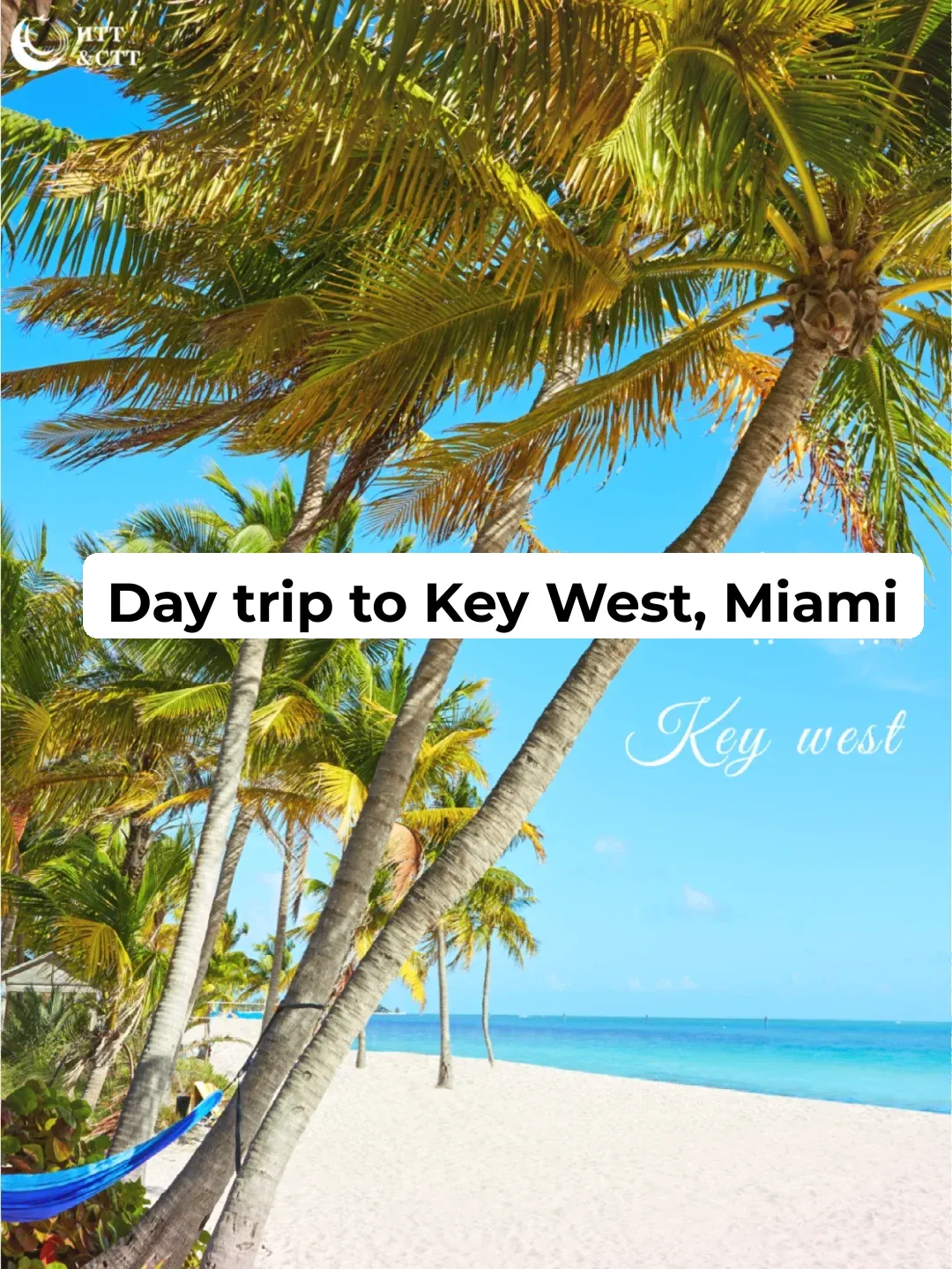 🌟 Miami Must-Visit | Key West Day Trip