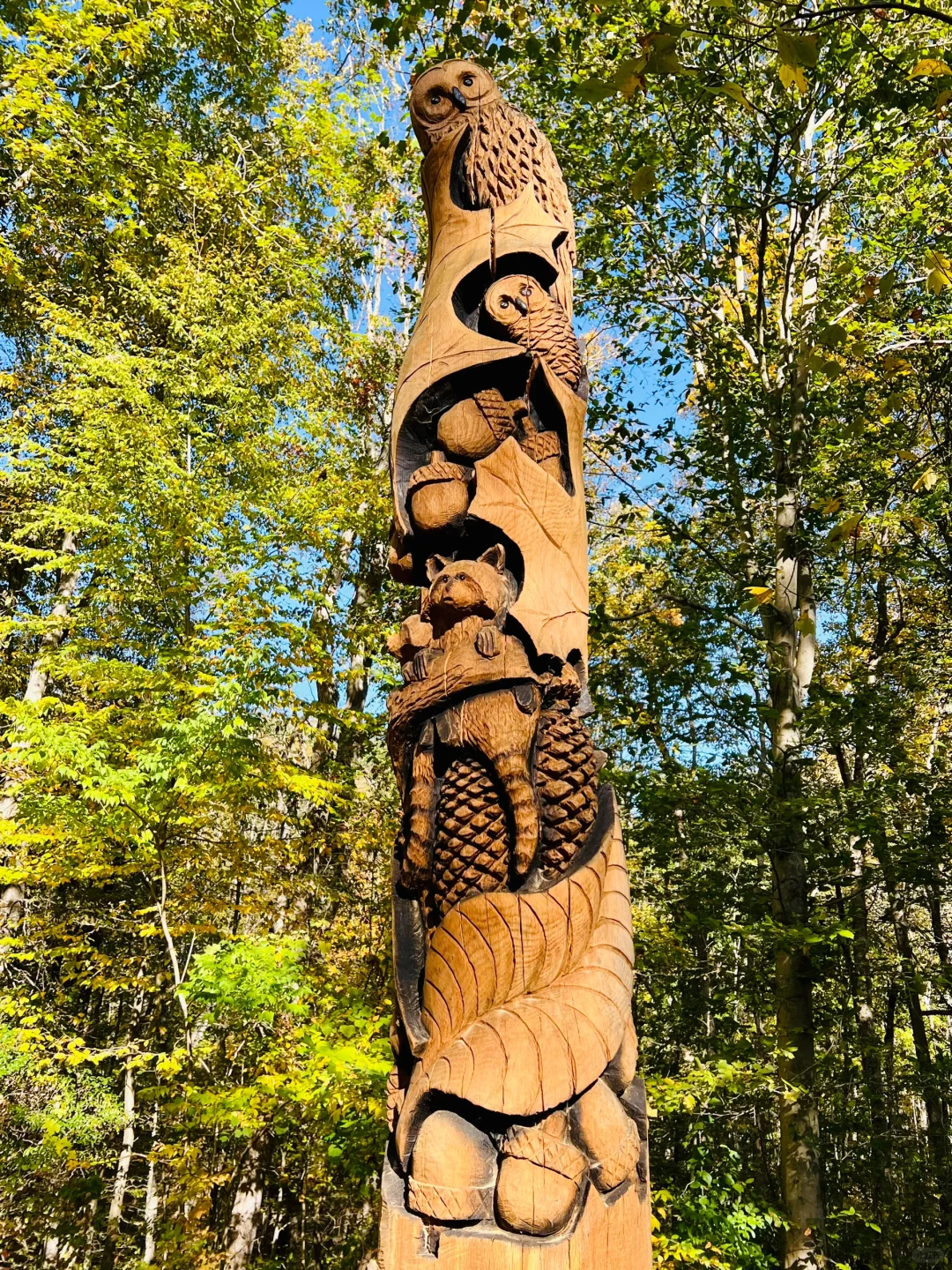 Free Things to Do in Stamford, CT