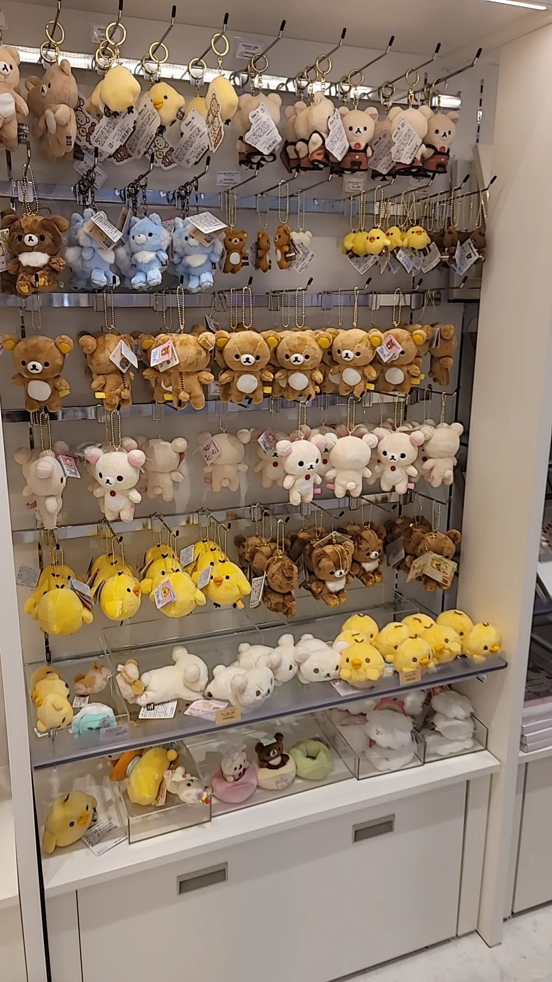 Guide to Buying Bear-Themed Souvenirs in Kansai!