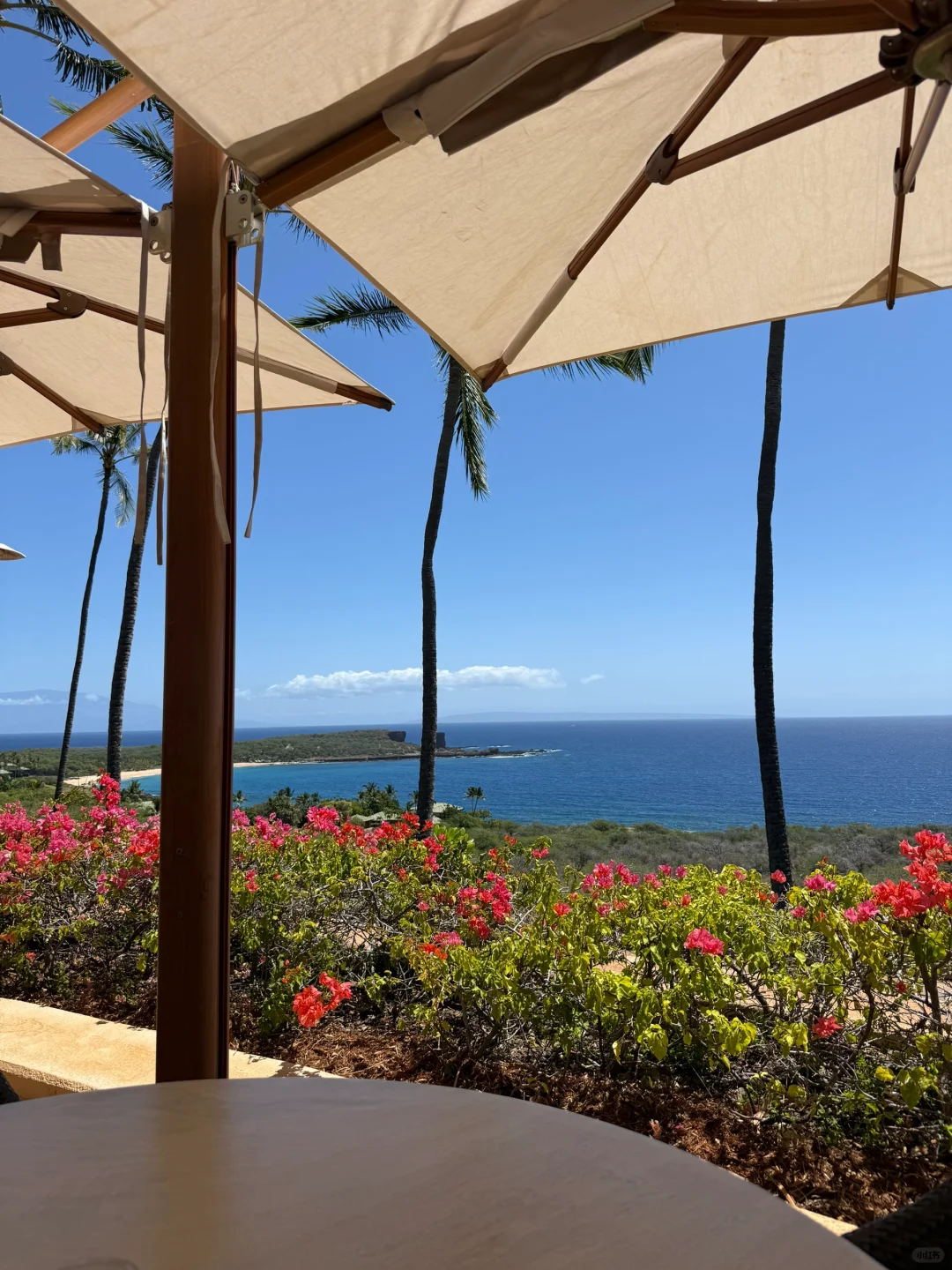 Hawaii | Eating and Drinking at Four Seasons Lanai Beach ✨