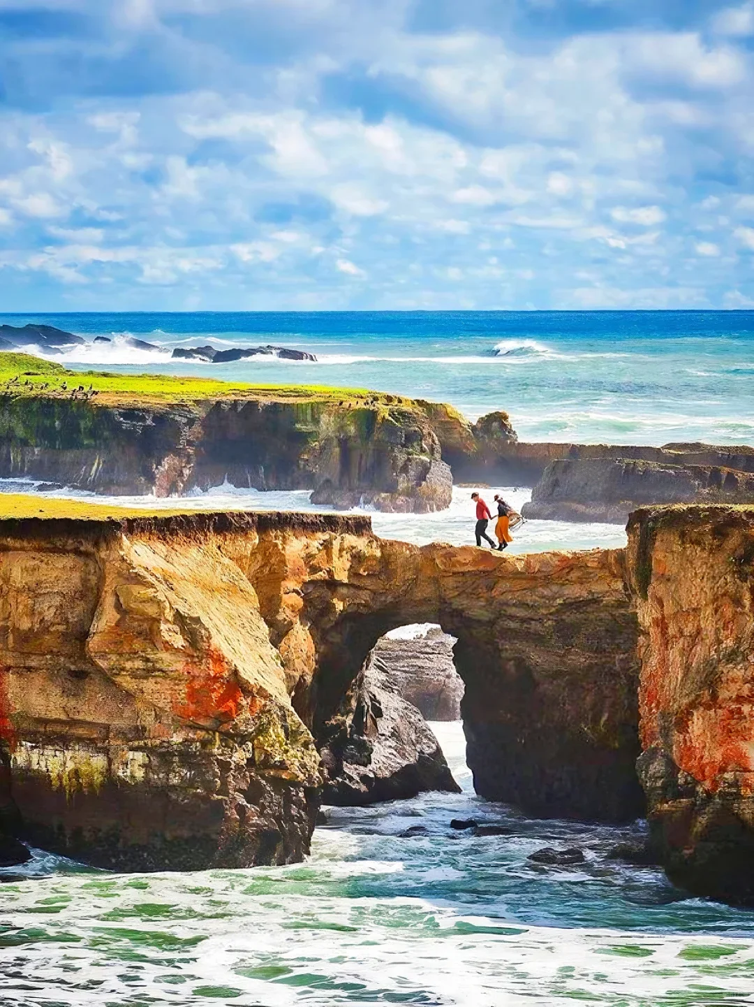 2 Days 1 Night in Mendocino, CA: Hidden Gem Coastal Paradise 🌊