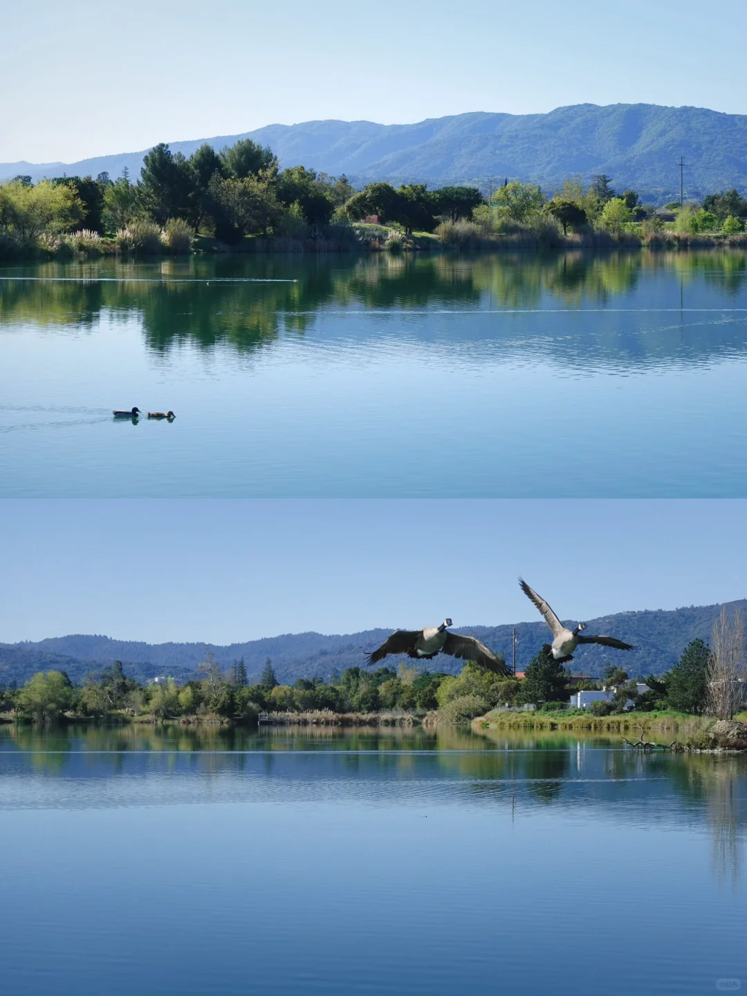 Bay Area | What a Heavenly Oasis, Los Gatos Creek!