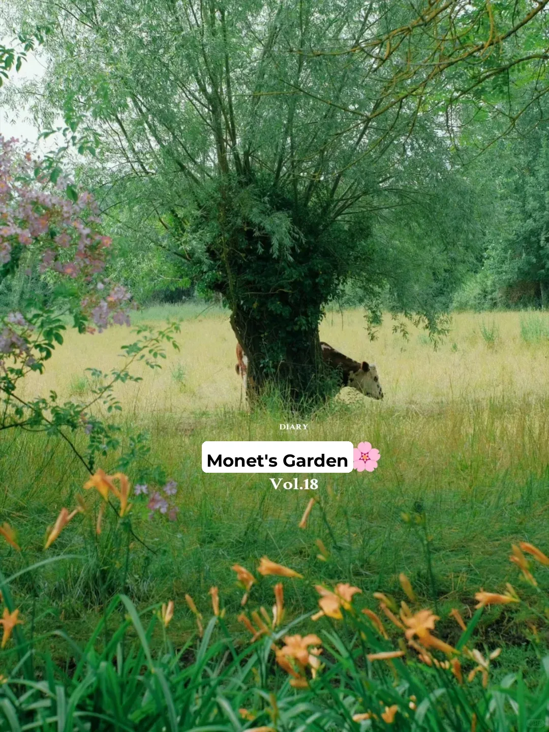 🇫🇷 Traveling Around France | Normandy Is Irresistible! ❗