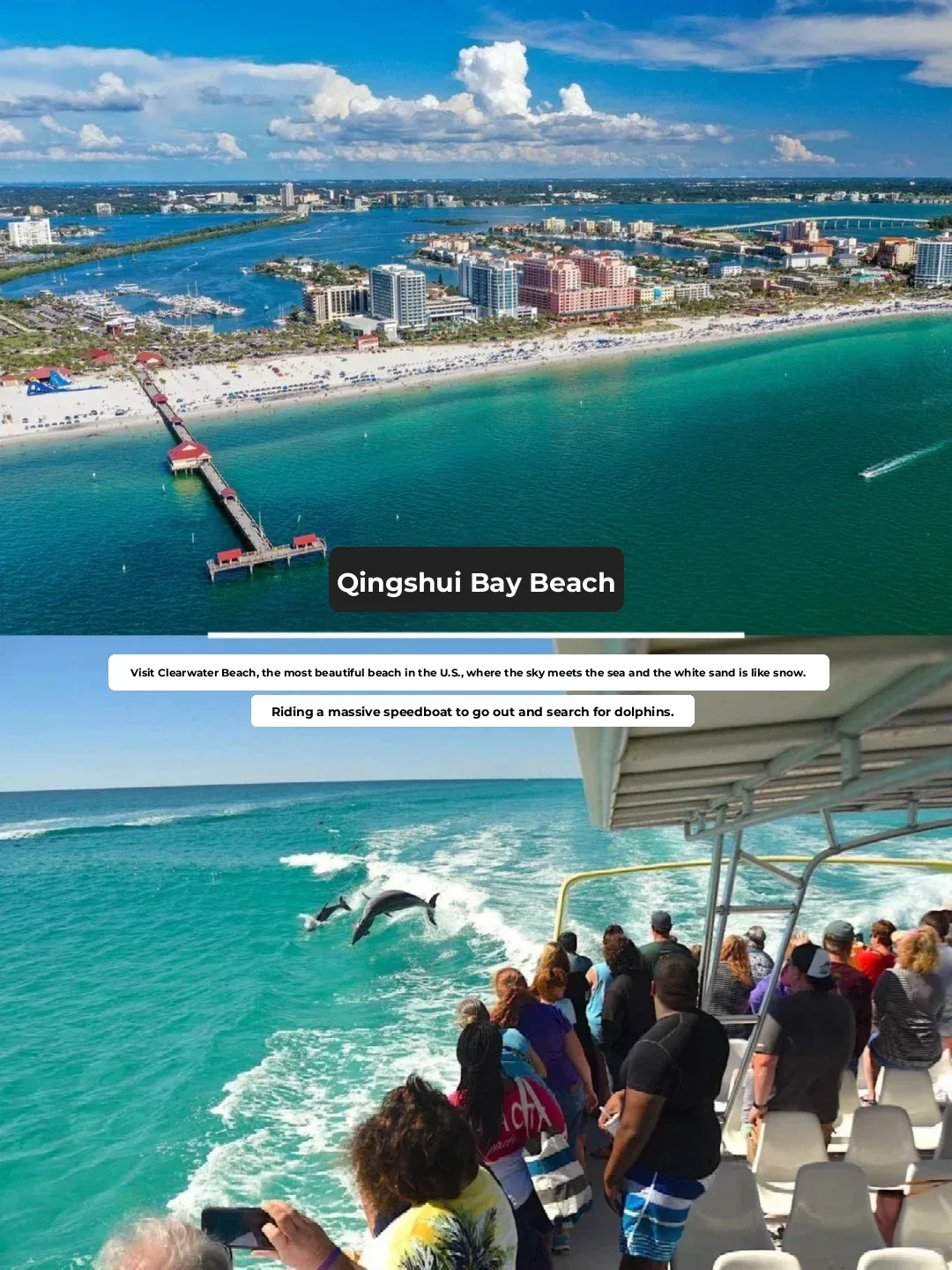 Orlando Area | Day Trip to the Gulf of Mexico + Clearwater Beach