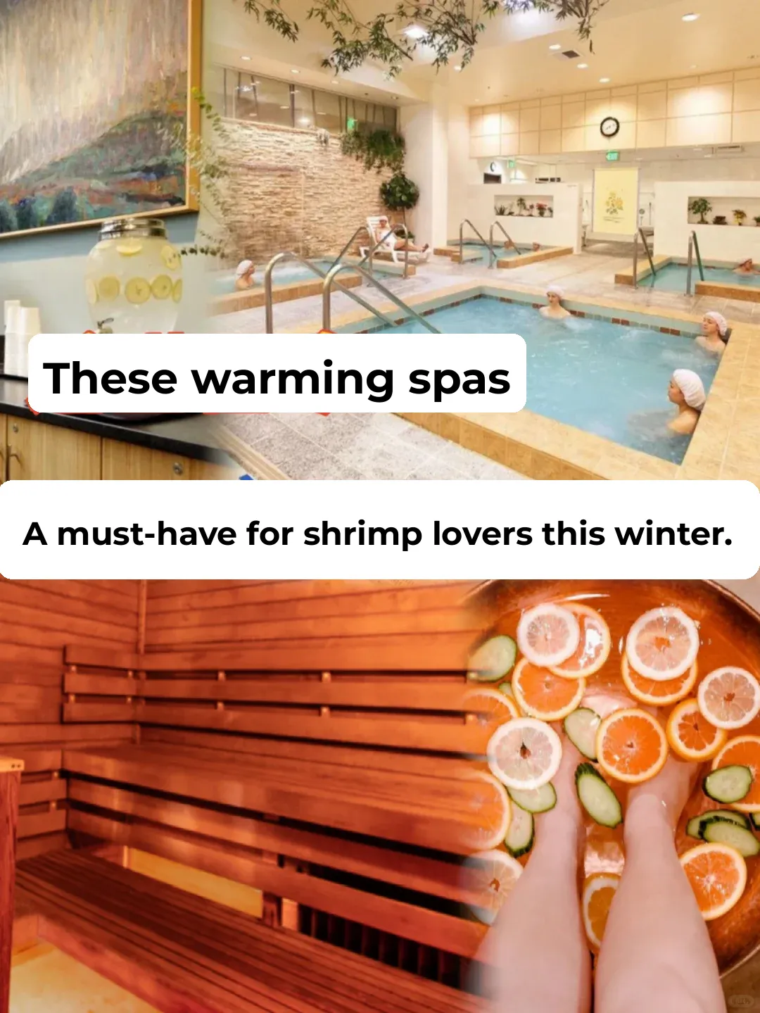 Bidding Farewell to the Chill! These Saunas Will Keep You Warm